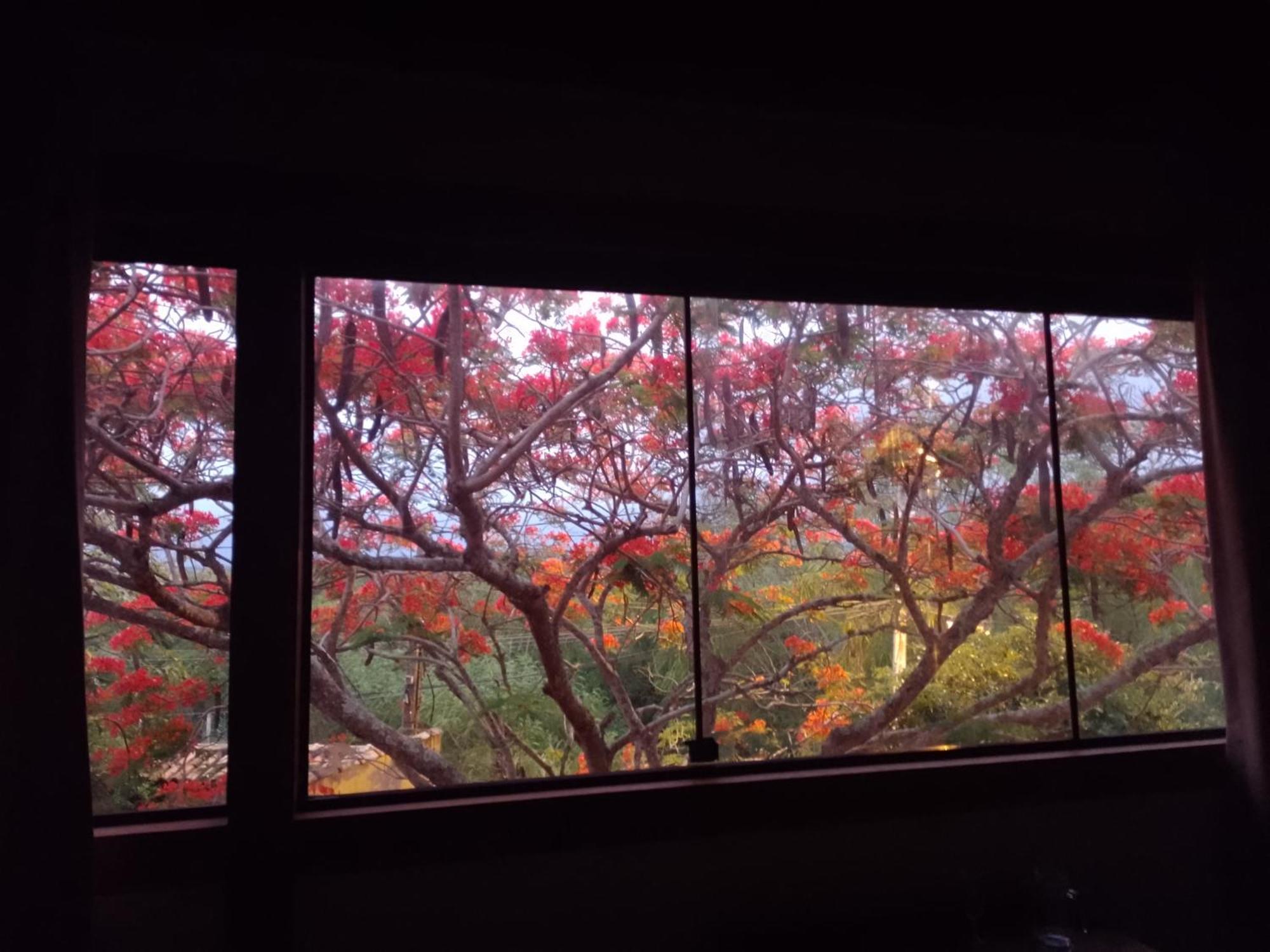 Pousada Recanto Devas กาโบฟรีโอ ภายนอก รูปภาพ